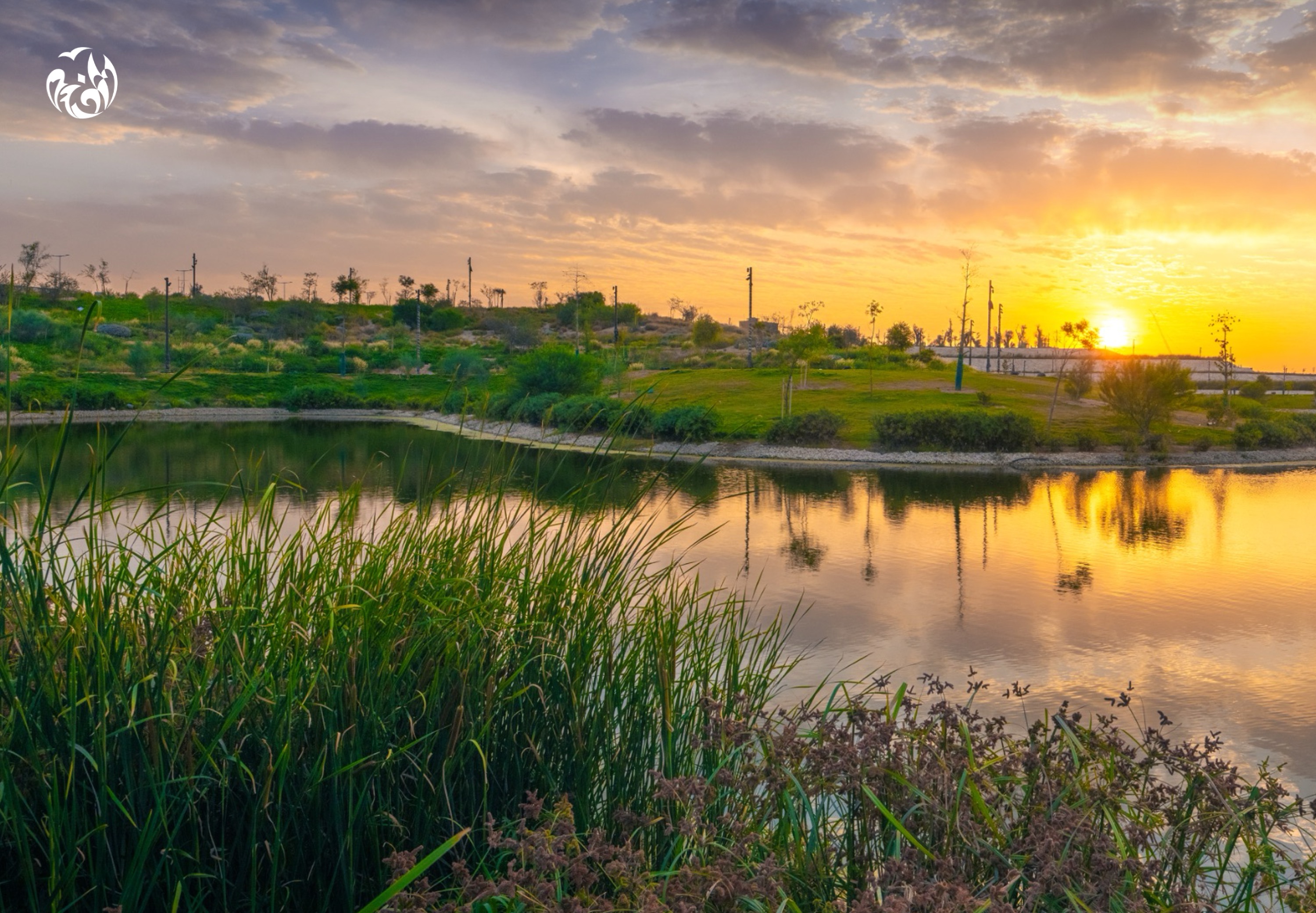 A lake at sunset inside King Salman Park, Riyadh